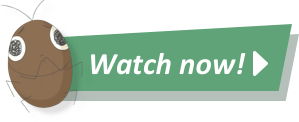 watch now!