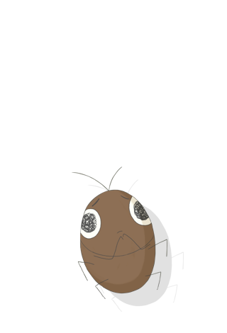 roach