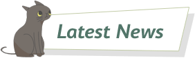Latest News